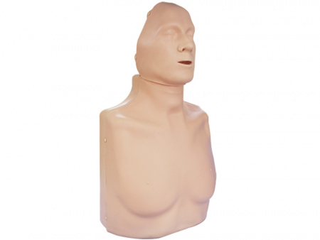 ТОРС-01 СЛР тренажер-манекен взрослого пострадавшего для отработки приемов сердечно-легочной реанимации (голова, туловище)