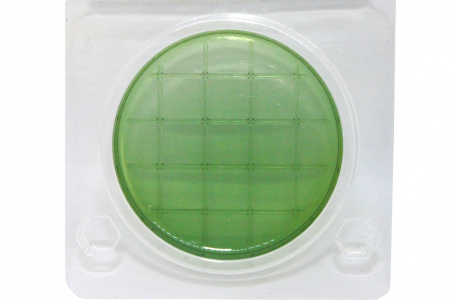 Тест на E.coli и колиформные бактерии